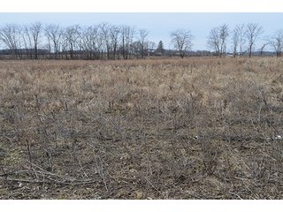 24 Grassland Acres - 20+/- Acres Wooded & 24+/- Acres Grassland, LAND AUCTION